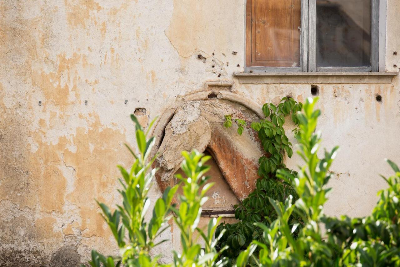 Domus Festina Lente *